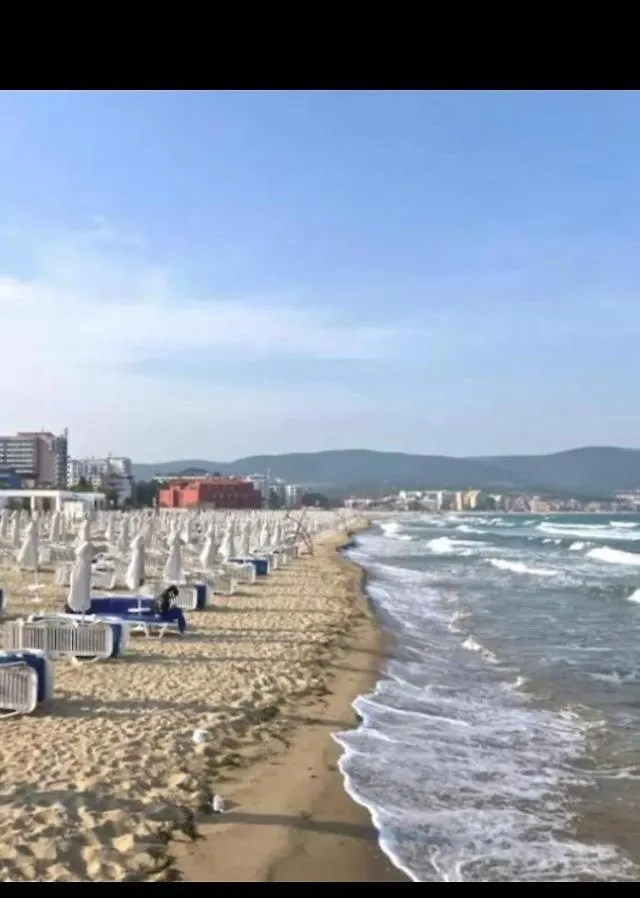 Joy Apartment Sunny Beach